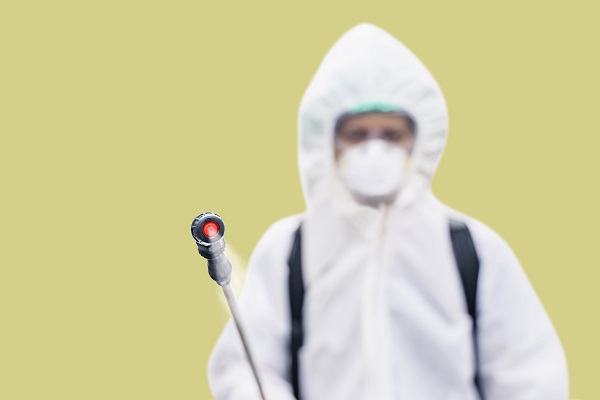Why Stubborn Pest Problems Need Professionals